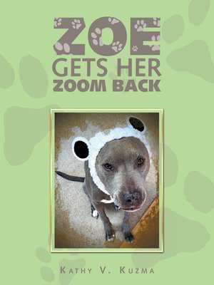 cover image of Zoe Gets Her Zoom Back